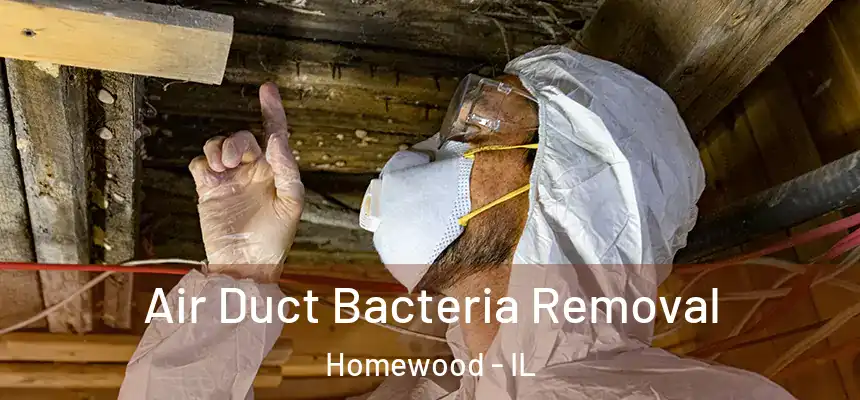  Air Duct Bacteria Removal Homewood - IL