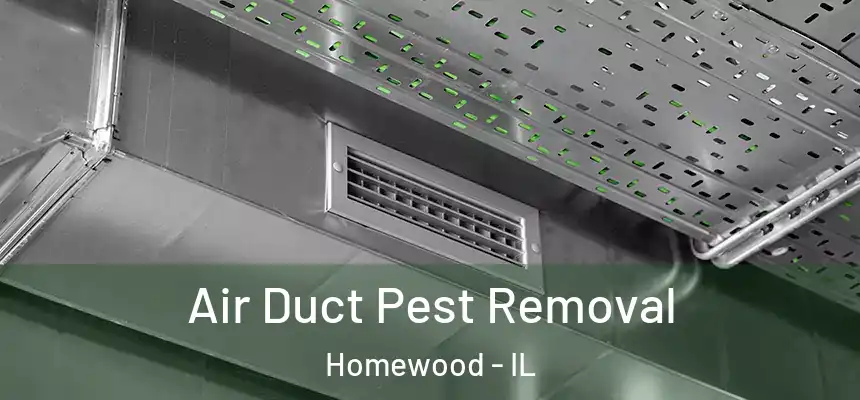  Air Duct Pest Removal Homewood - IL