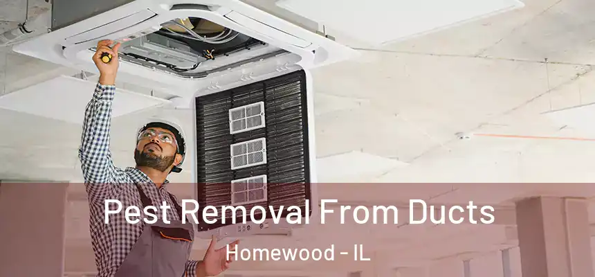  Pest Removal From Ducts Homewood - IL