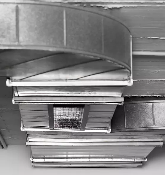 Professional Air Duct Pest Removal in Homewood, IL