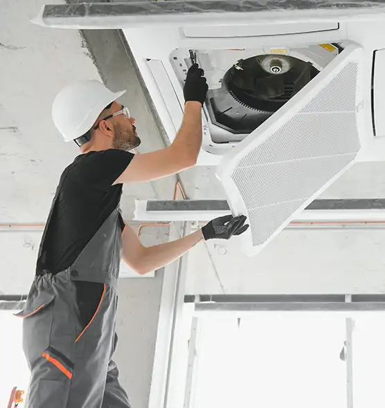 About Air Duct Rodent Removal in Homewood, IL