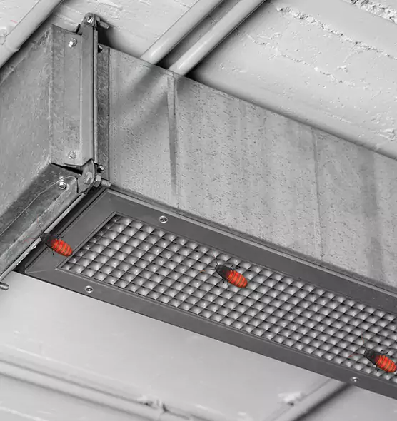 Affordable Insect Removal from Air Ducts in Homewood, IL