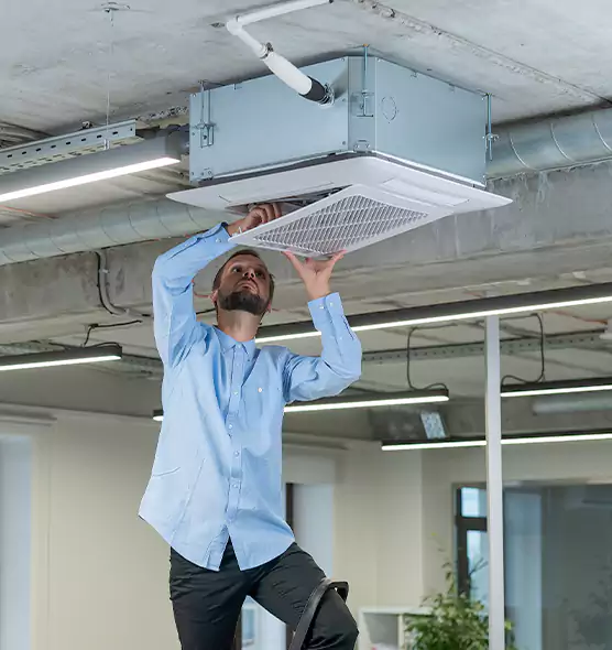 Advanced Rodent Droppings In Vents in Homewood, IL