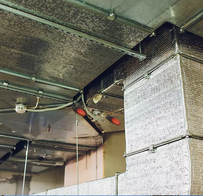 Why Homeowners & Businesses Trust Us in Homewood, IL?