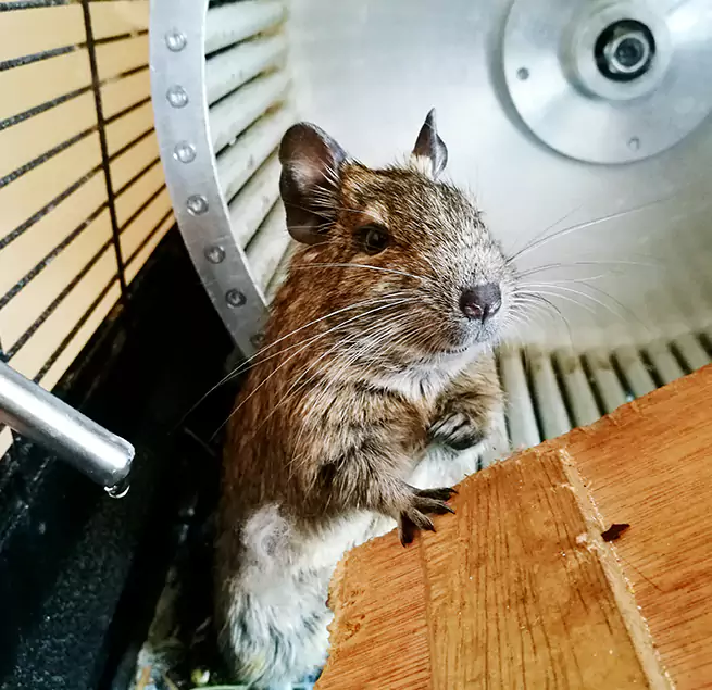 Why Homeowners & Businesses Trust Us Homewood, IL