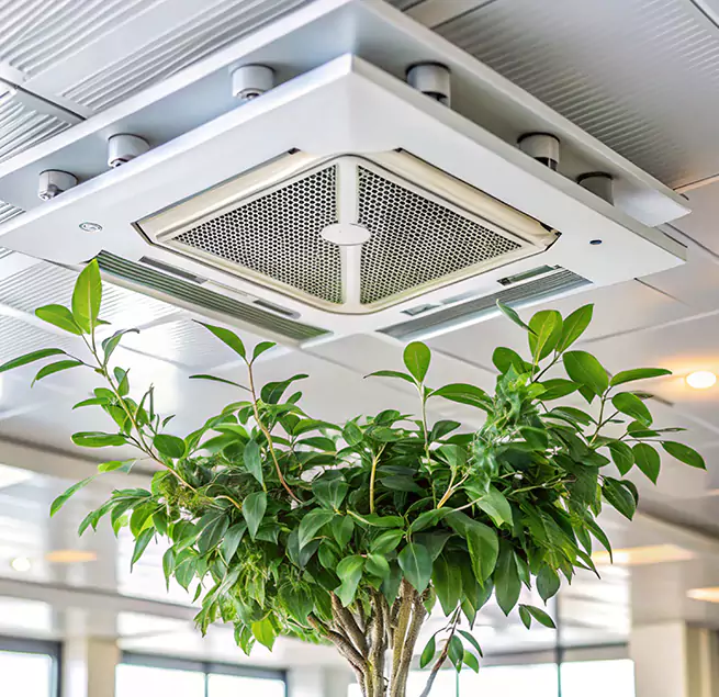 Why Homeowners & Businesses Trust Us in Homewood, IL