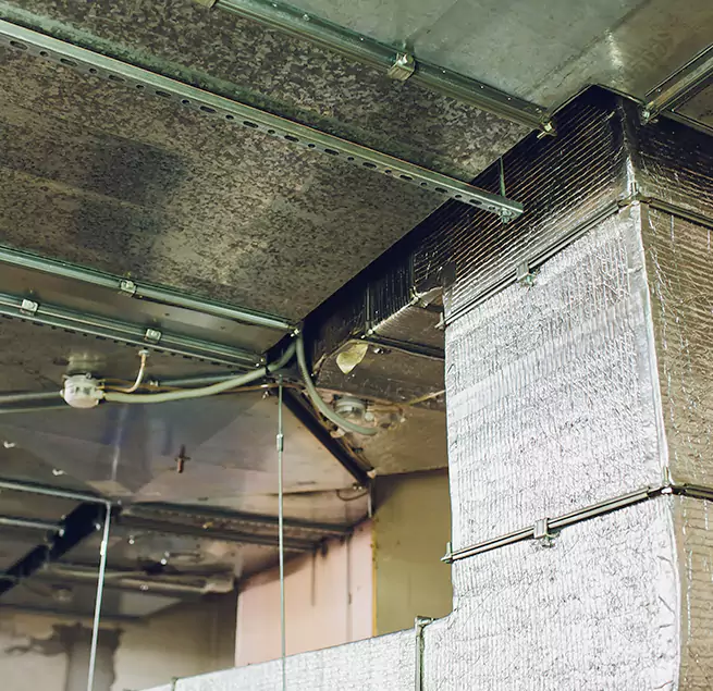 Why Homeowners & Businesses Trust Us in Homewood, IL?